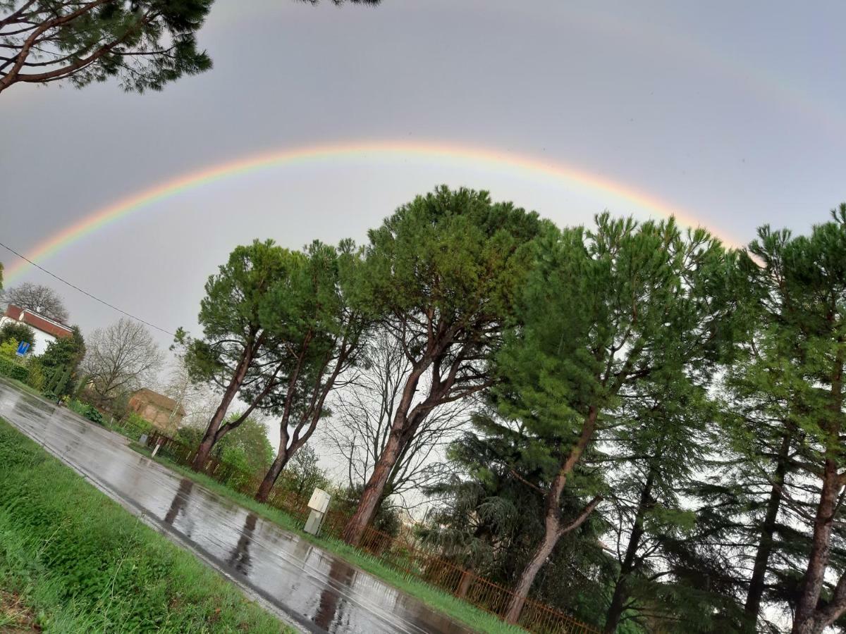 Apartmán Bella Vista Tossignano Exteriér fotografie